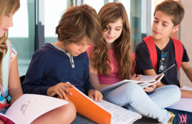 Psycho Educational Assessments